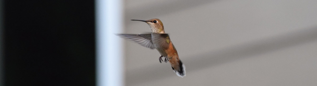 Zooming in Zooming in